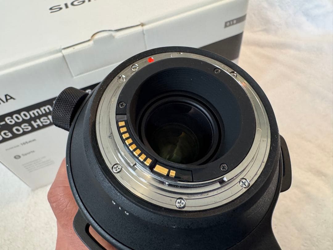 【美品】SIGMA 60-600mm F4.5-6.3 Sports