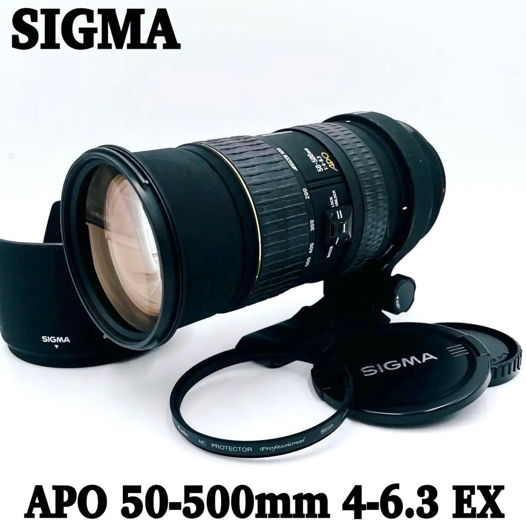 【良品】SIGMA APO 50-500mm F4-6.3 EX ソニー用