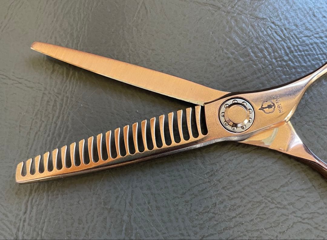 ミズタニシザーエレメント