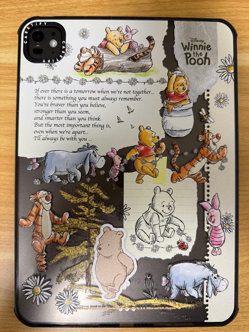 11インチ iPad Pro (M4) 256GB Wi-Fiモデル 本体のみ