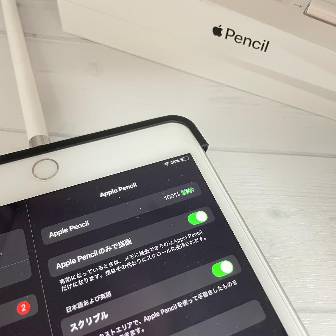 動作確認済み【美品】Apple Pencil 第一世代 本体＋付属品＋カバー