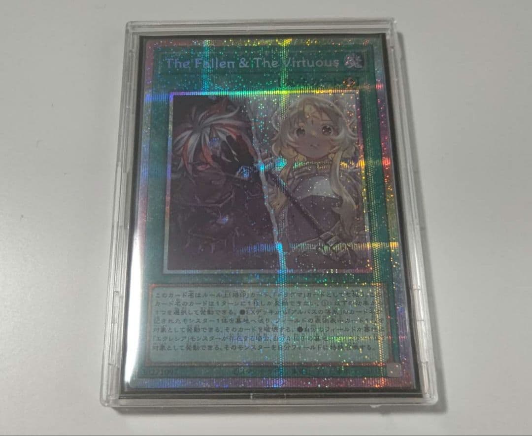 【即購入OK】 The Fallen & The Virtuous プリシク