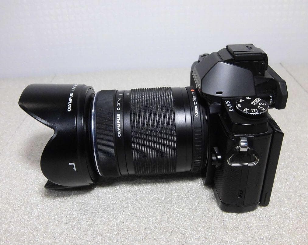 OLYMPUS OM-D E-M5 デジタルミラーレスカメラ・ズームレンズセット