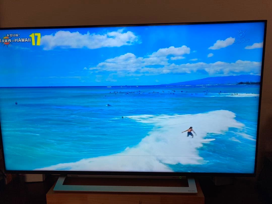 専用出品 TOSHIBA REGZA 4K液晶テレビ50M540X(訳あり)