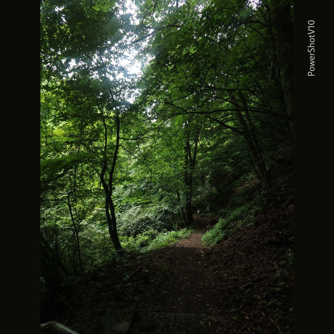 ⧫ Canon vlogカメラ PowerShotV10 動作問題なし