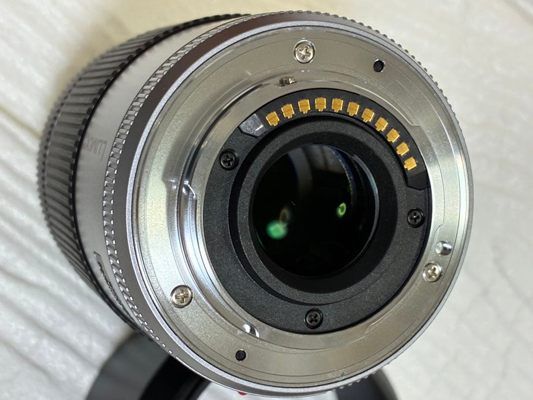 Panasonic H-PS45175 ズームレンズ 45-175mm