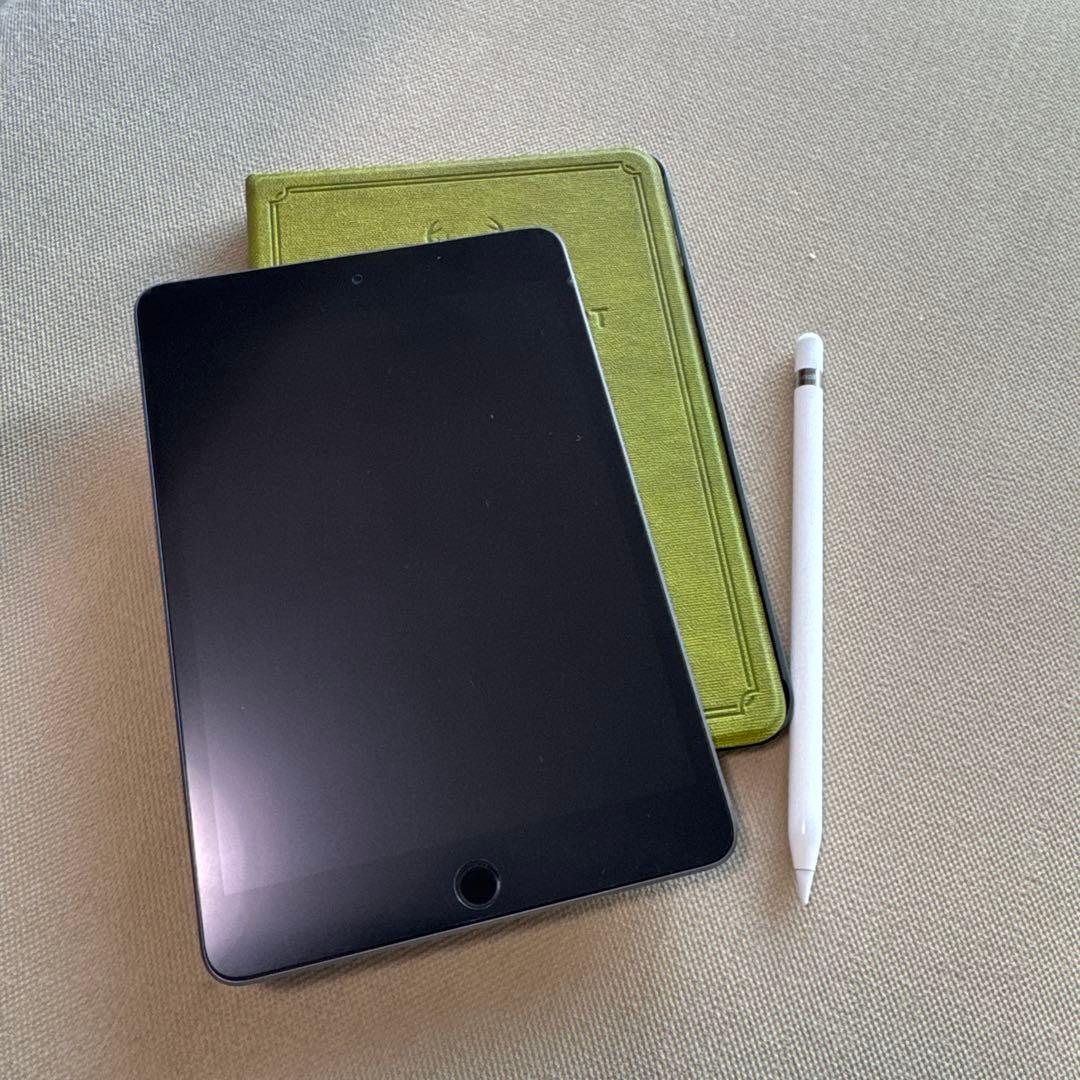 iPad mini 5 セルラー256Ｇ