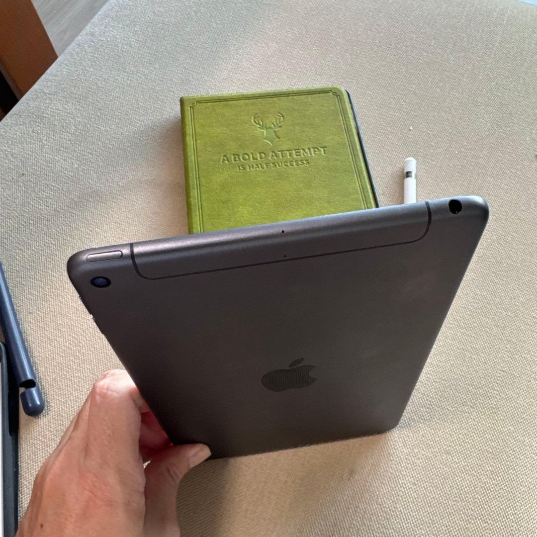 iPad mini 5 セルラー256Ｇ