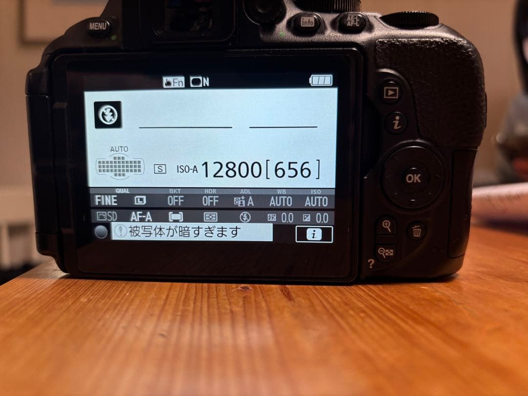 Nikon D5600 ダブルズームキット