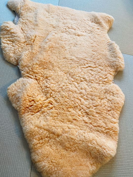 医療用のムートン