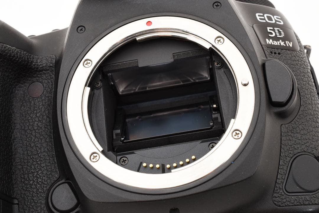 保証付☆Canon EOS 5D Mark IV標準&望遠&単焦点レンズセット