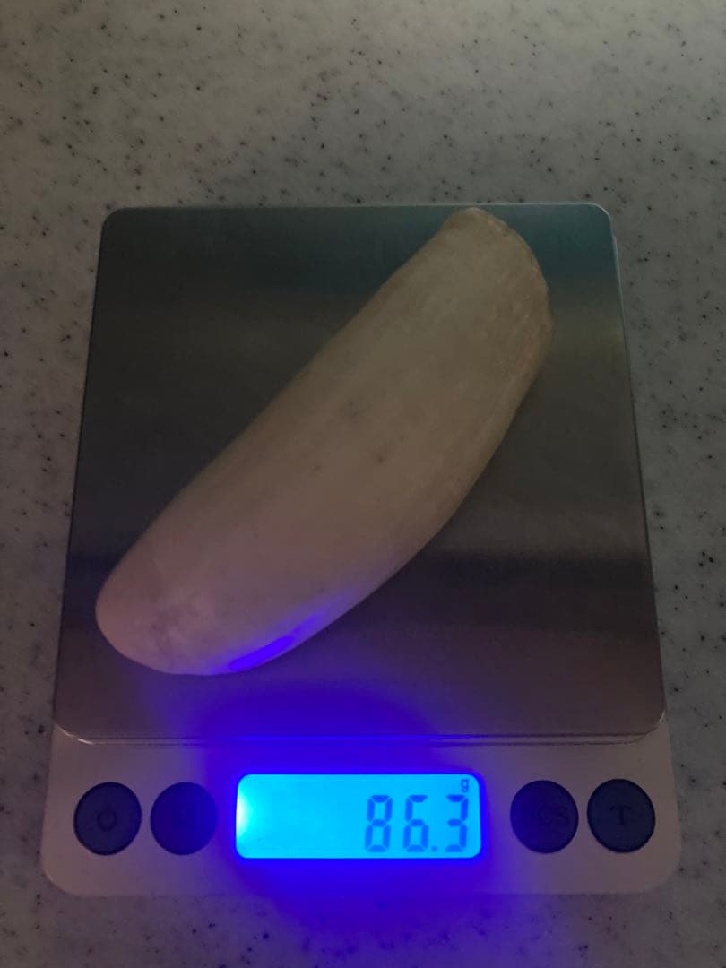 鯨歯 約9.5cm 約86.3g マッコウ鯨牙　抹香鯨