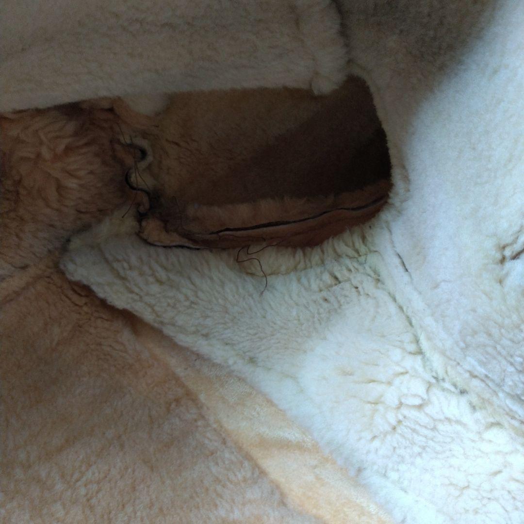 THE ALPEE 激レア 雰囲気抜群 USA製 Schott