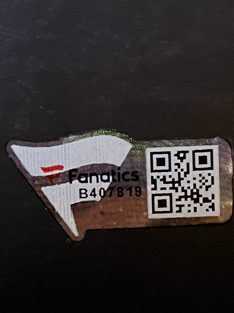 フェルナンドタティスjr直筆サイン入りバット