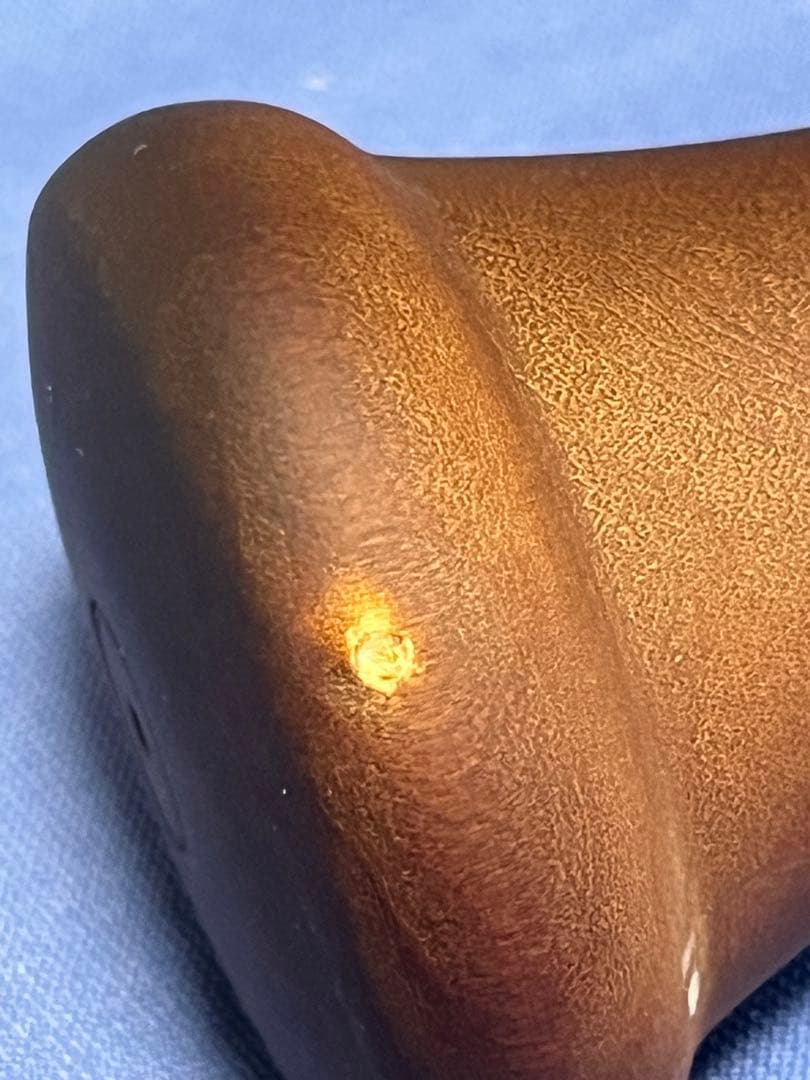 フェルナンドタティスjr直筆サイン入りバット