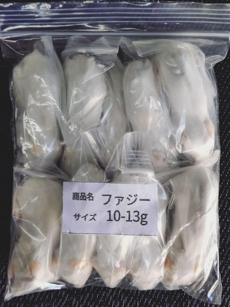 Hurze1フタホシML〜Ｌ200、冷凍マウスファジー30匹ホッパー30匹