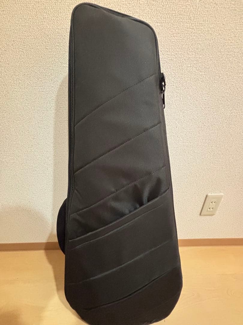 HEXギター　N500P lvory