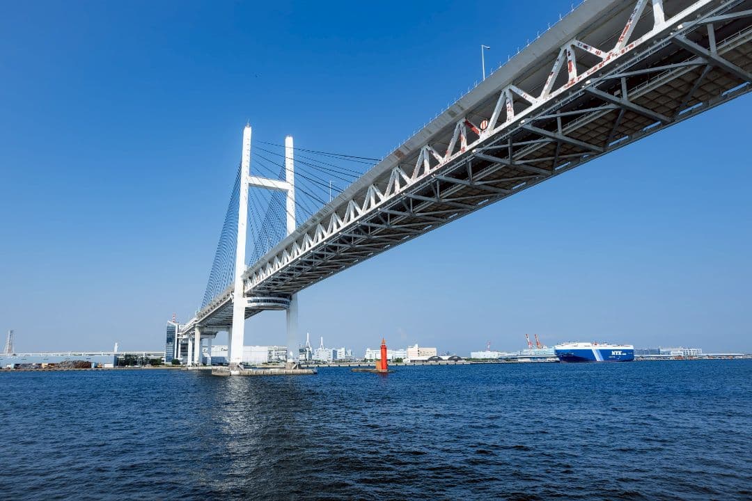 NIKKOR DX 12-28 3.5-5.6 PZ　美品