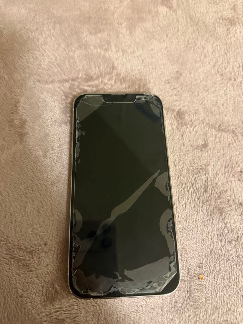 か*な様 iPhone13Pro 本体