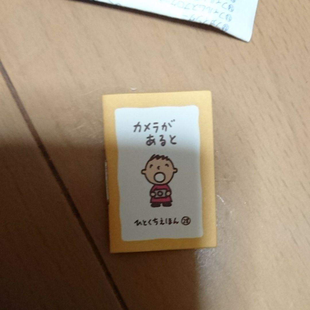 【希少】当時物 レア みんなのたあ坊 フィルム式カメラ 昭和レトロ  サンリオ