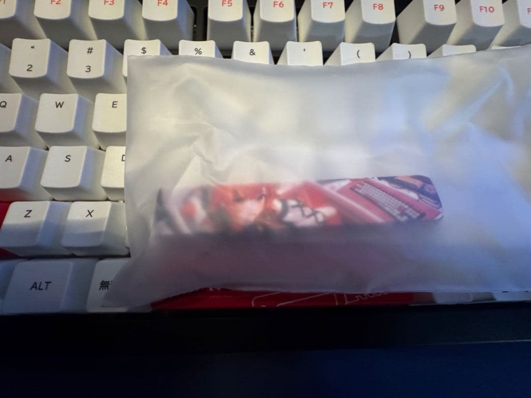 ぶいすぽっ！ VSPO! GEAR 猫汰つな キーボード 訳あり