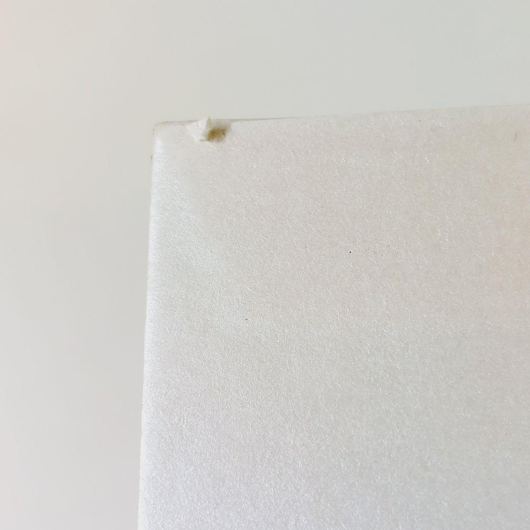 琉園 Tittot クリスタルガラス バード 置物