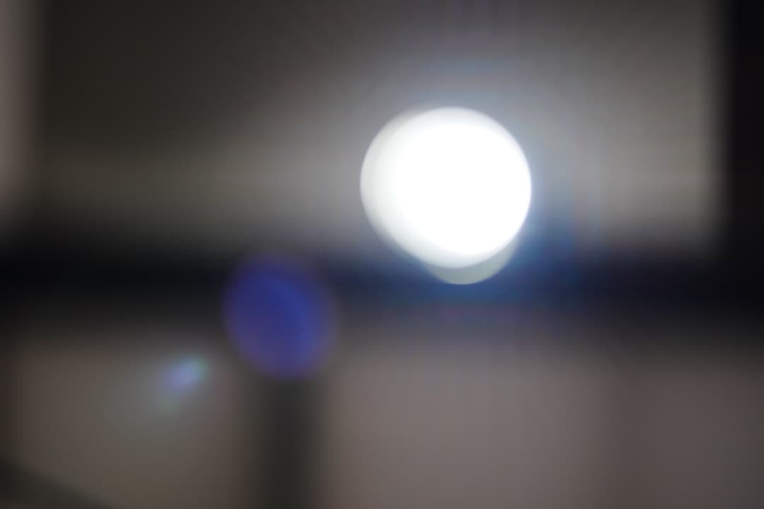 【神レンズ】オリンパス Zuiko auto macro 90mm F2 428