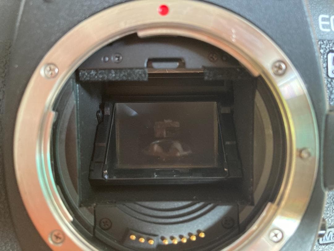 【ジャンク】Canon 一眼レフカメラ EOS 5D MarkII ボディ