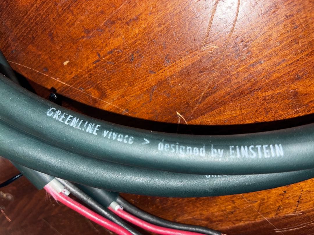 Einstein アインシュタイン GREENLINE ペア 約1.5m