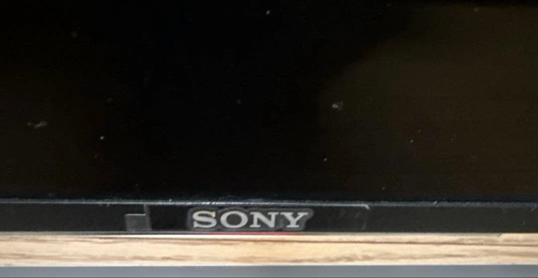 引き取り限定　SONY BRAVIA KJ-49X9000E ジャンク