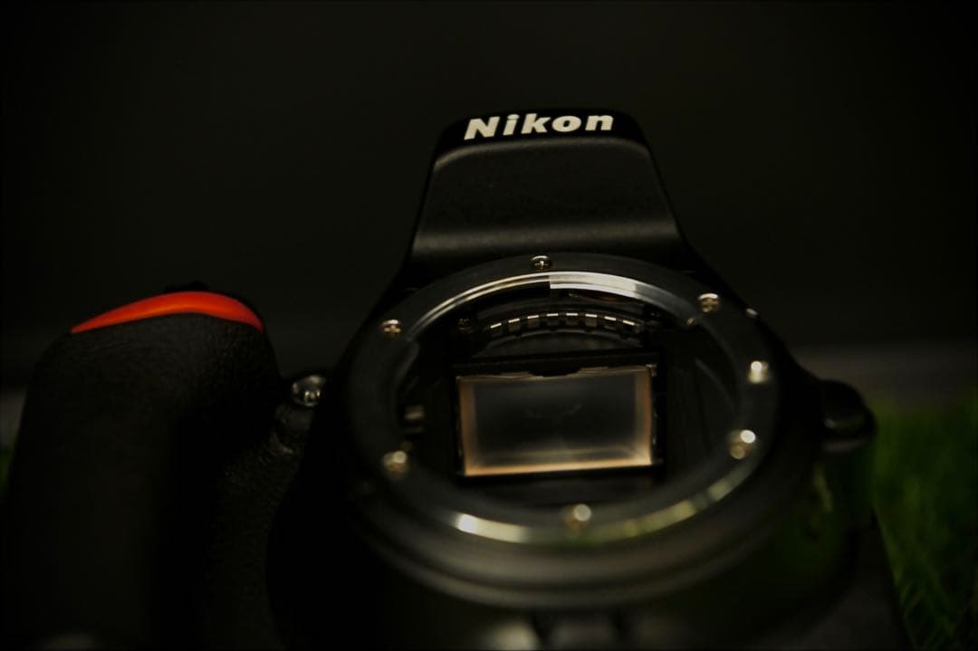 美品！箱説・保証書付き　Nikon D5600 レンズ保護フィルター完備