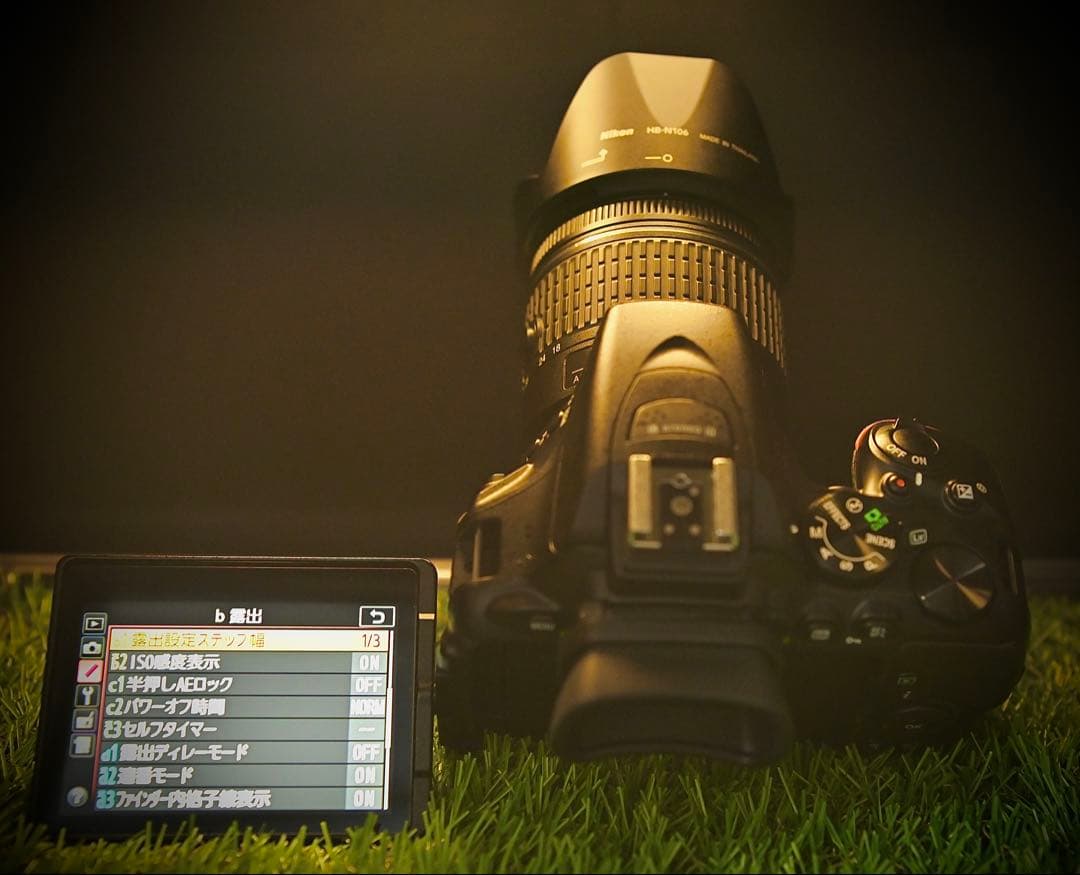 美品！箱説・保証書付き　Nikon D5600 レンズ保護フィルター完備