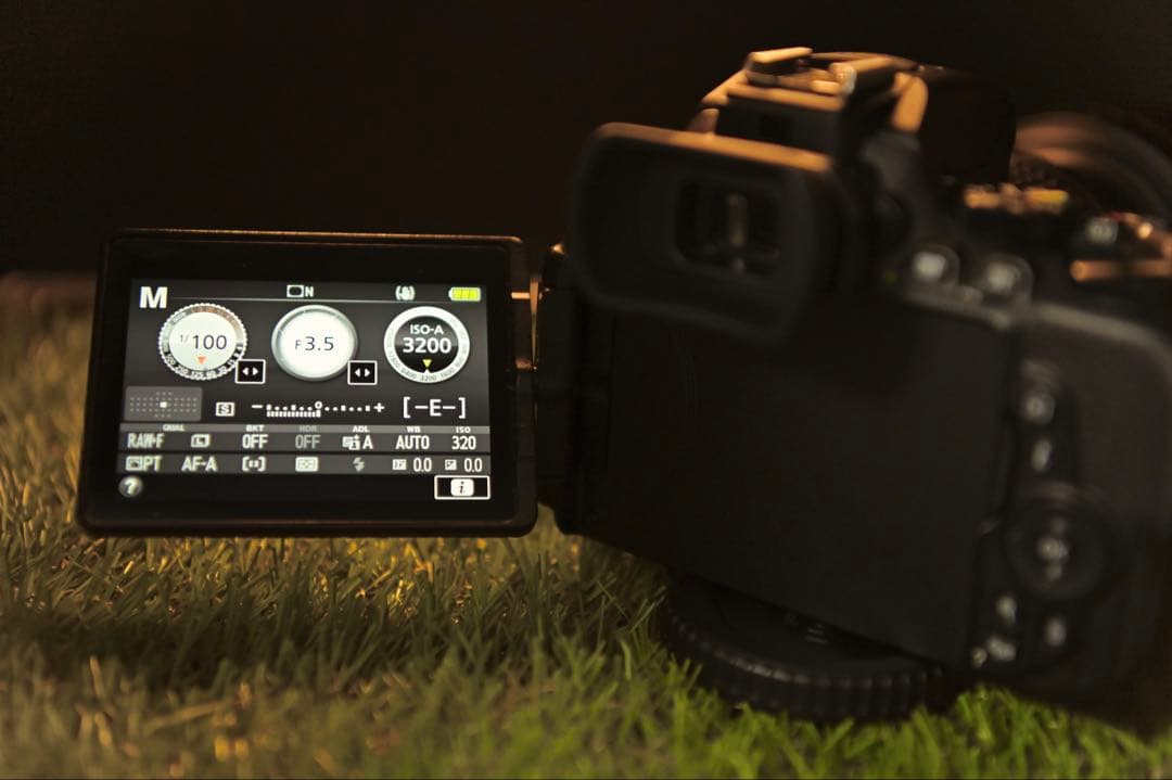 美品！箱説・保証書付き　Nikon D5600 レンズ保護フィルター完備