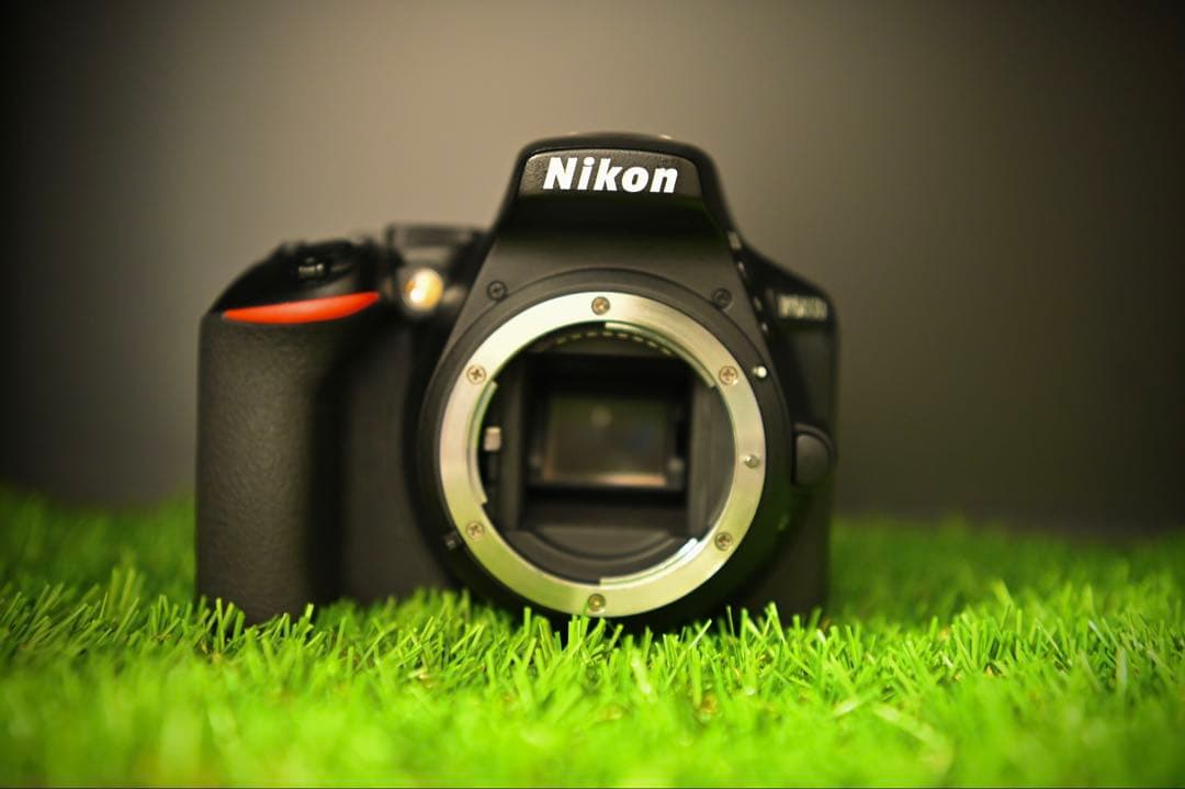 美品！箱説・保証書付き　Nikon D5600 レンズ保護フィルター完備