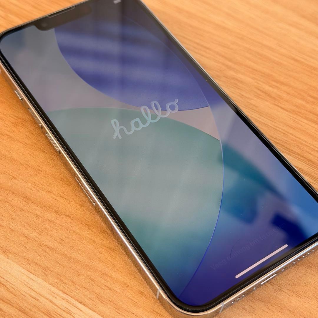 Apple iPhone 13Pro 256GB ケース付