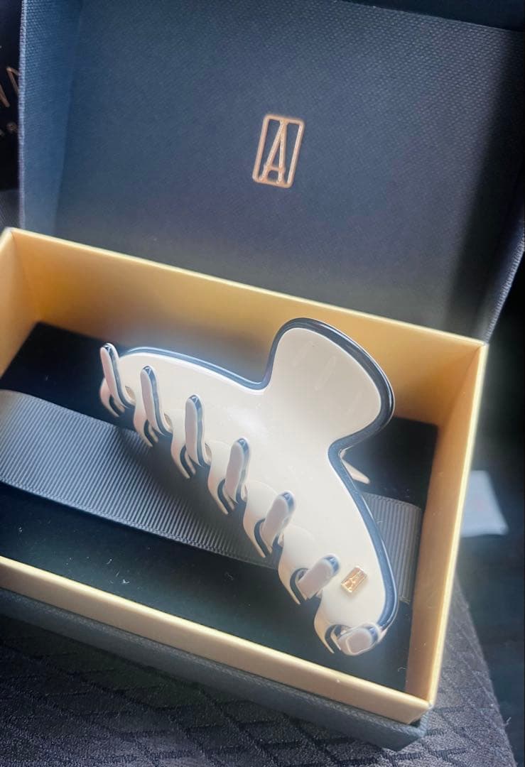 新品　ALEXANDRE DE PARIS ☆LISERAI Mクリップ