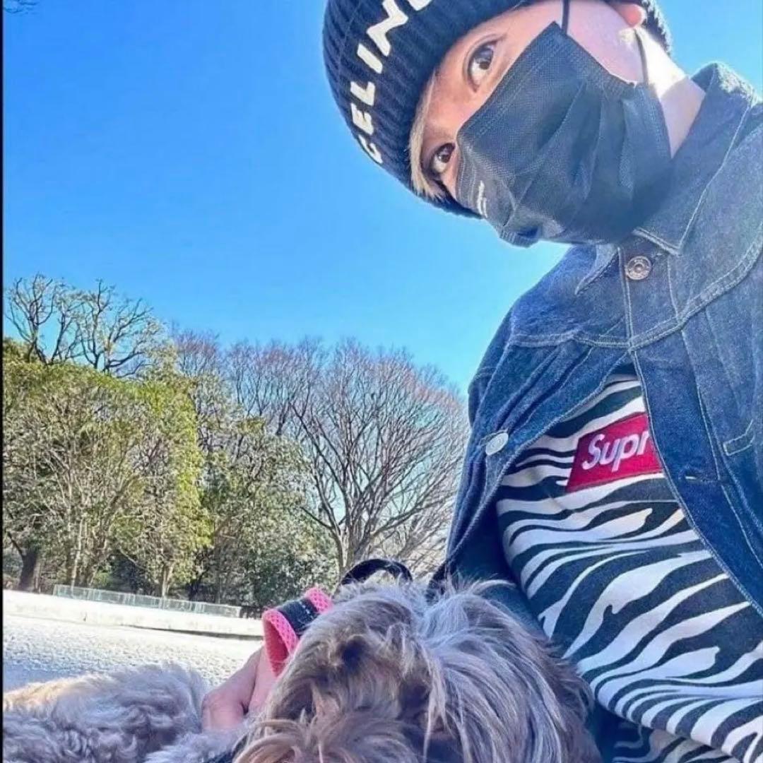 キムタク着 Supreme Box Logo Crewneck Zebra L