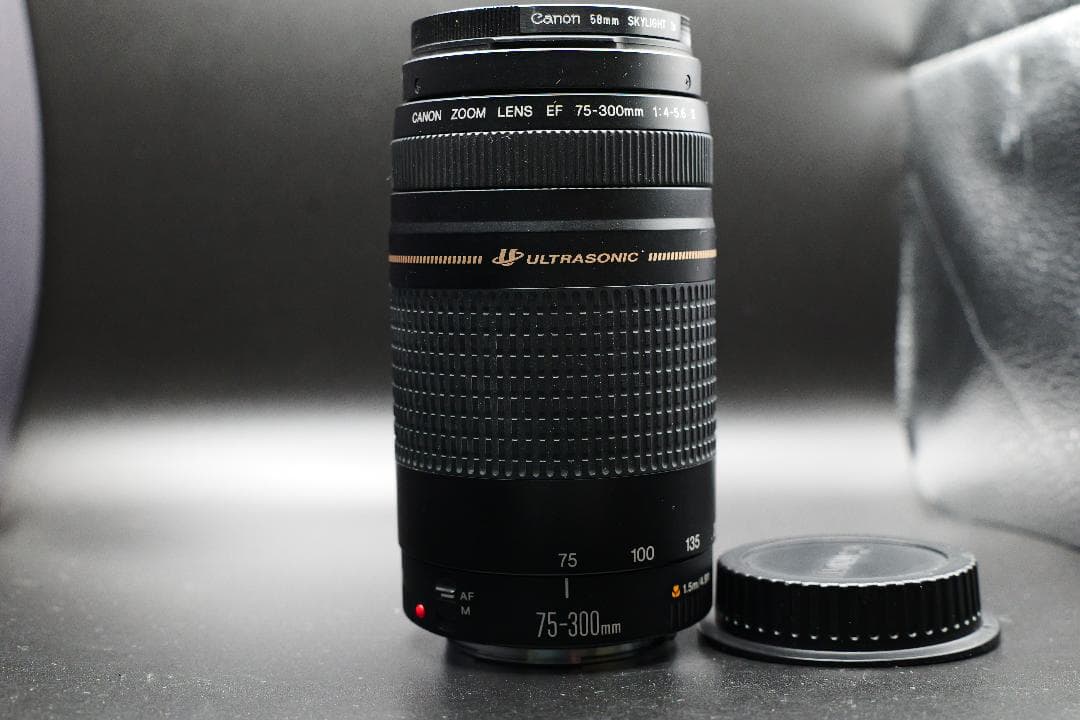望遠レンズ Canon EFレンズ EF75-300mm F4-5.6 Ⅱ