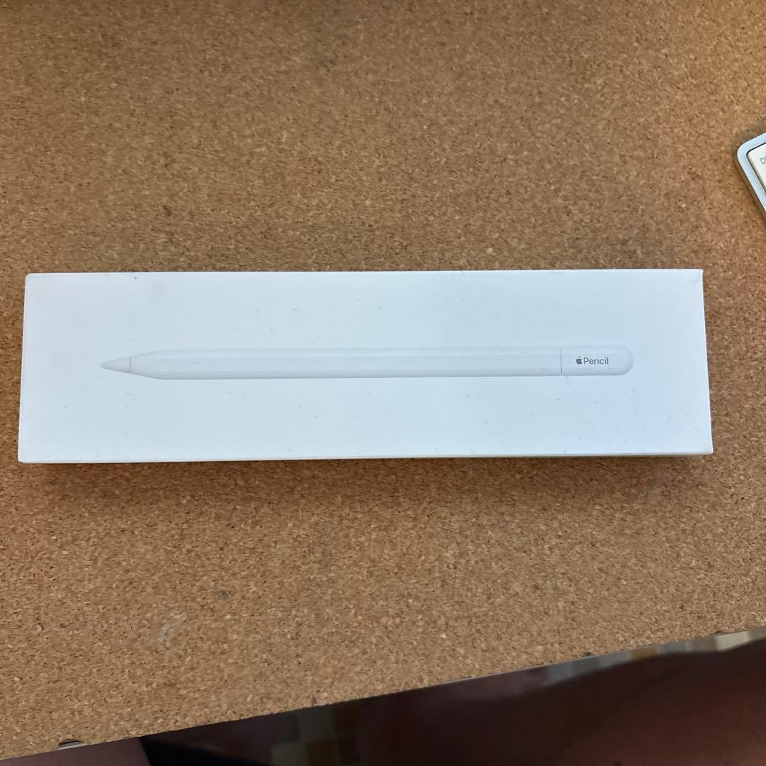 Apple Pencil (USB-C) 充電ケーブル付き