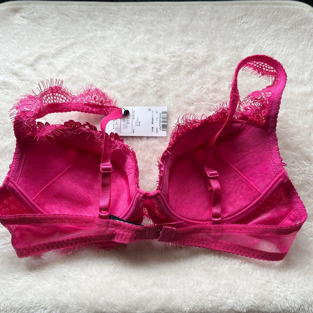 スタジオファイブ　Ｃ75＆ショーツL