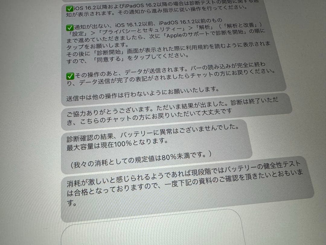 iPad Pro 12.9インチ (第3世代) 本体