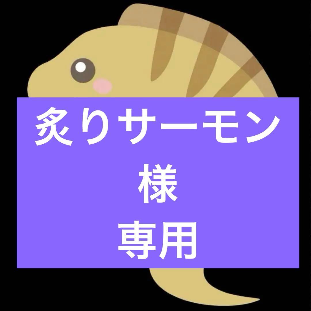 炙りサーモン　　アースラ 人間　ヴァネッサ　風　ウィッグ