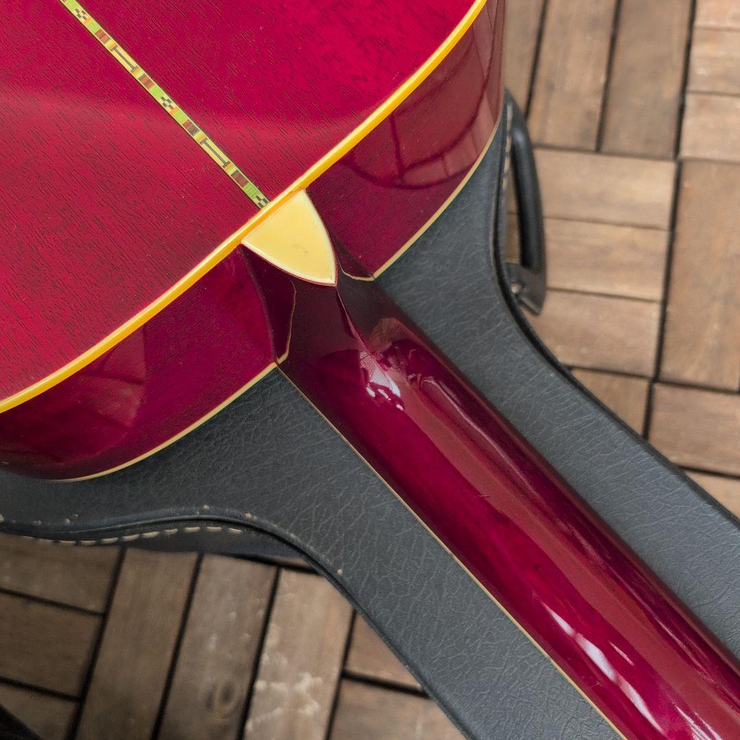 MORRIS ハミングバードDOVE WD−25 チェリーサンバースト！