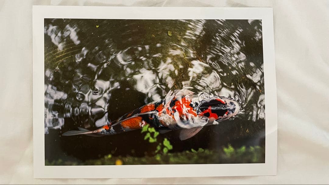 プリンター・複合機 Canon PRO-G1