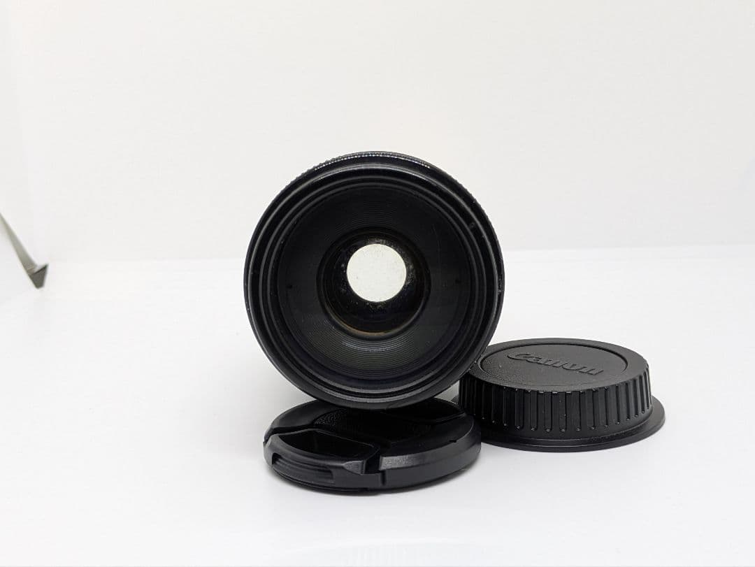 9月4日限定価格【超望遠レンズ】Canon EF 75-300mm