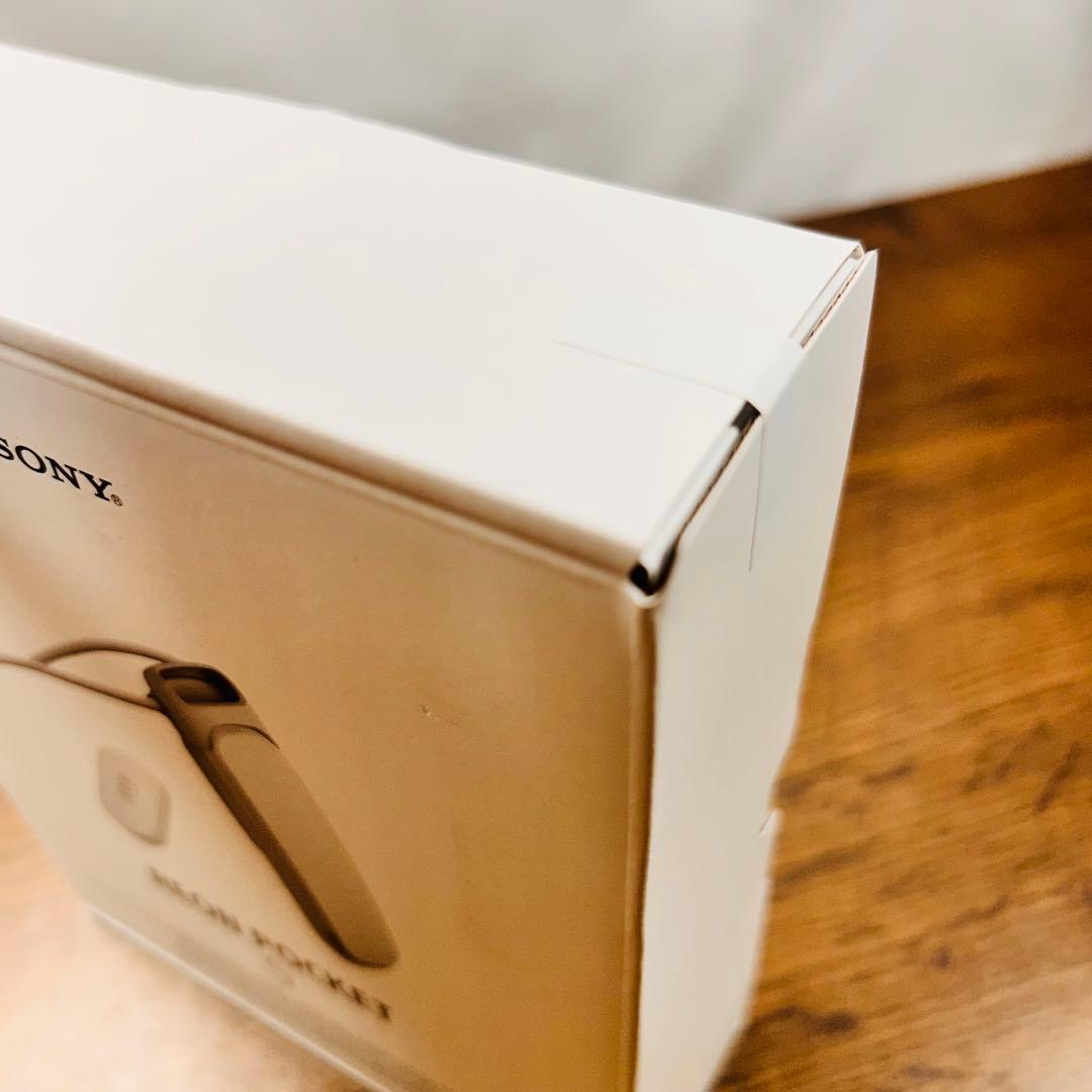 SONY REON POCKET 5 RNPK-5T ホワイト　レオンポケット5