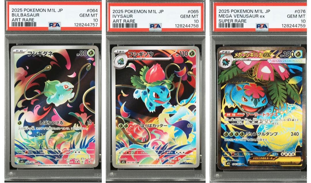 【PSA10】フシギダネ フシギソウ メガフシギバナex 3連番