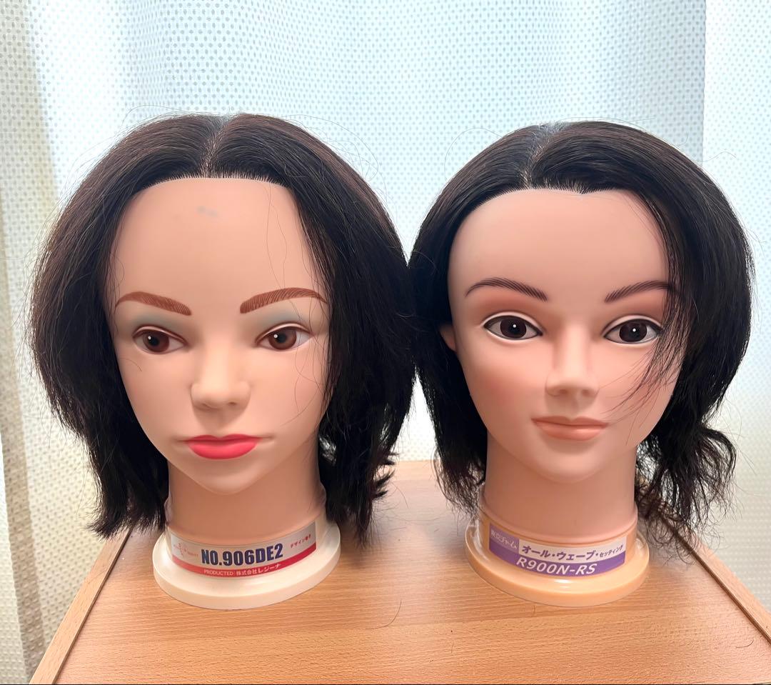 国家試験用マネキン NO.906DE2 & R900N-RS