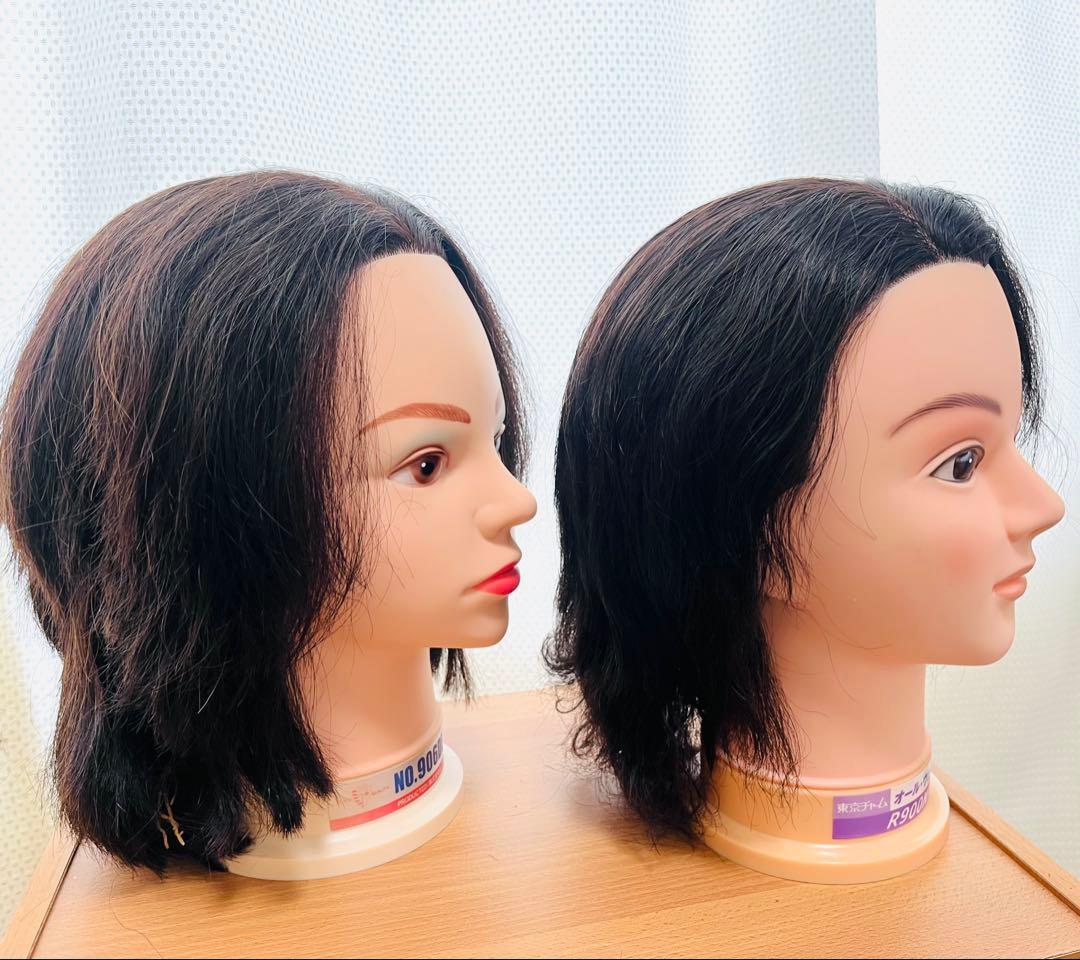 国家試験用マネキン NO.906DE2 & R900N-RS