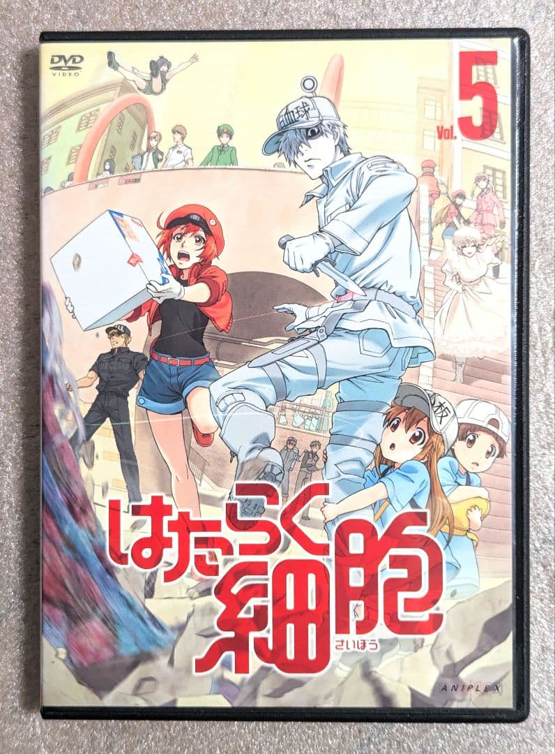 はたらく細胞　DVD　レンタル　アニメ　8本セット